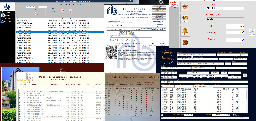 Soluciones de Software a la Medida